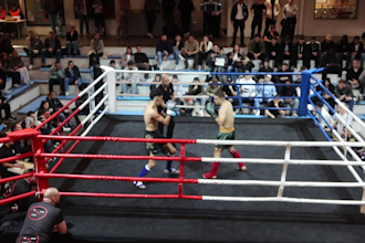 edit MMA fight breakdown and analysis videos for youtube