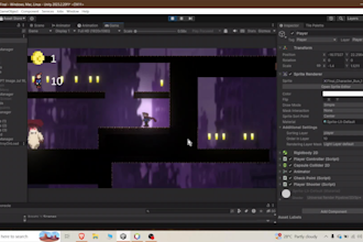 develop a 2d game prototype in unity