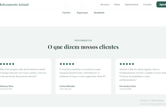 build a professional and responsive landing page