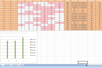 do accurate excel excel data entry and spreadsheed work