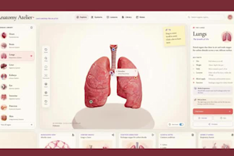 create three js webgl 3d website react three fiber and spline 3d animation