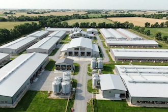 do 3d poultry farm farm house broiler layers warehouse barn house rendering