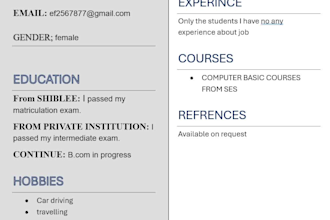 create, edit and format ms word documents