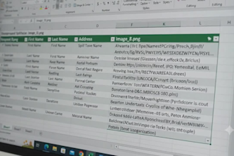 clean excel data, format spreadsheets, and remove duplicates