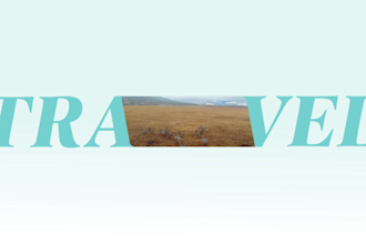motion designer specializing in animation in after effects,