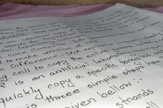 write anything in neat handwriting