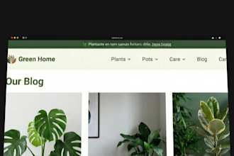 motion graphics for websites