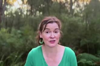 video spokesperson video presenter english spokesperson testimony spokesperson
