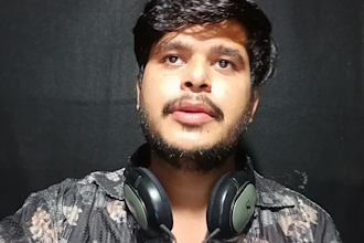 record a professional voice over for your documentary