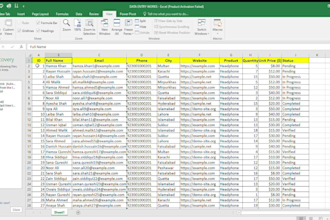 do fast excel data entry , copy past and wed research