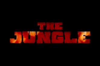 do professional video title sequence intro, outro animation