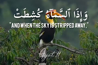 professional record quran recitation with islamic studio