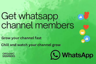 promote your whatsapp channel to increase organic members