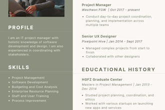 write a professional ats resume and CV