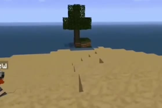 build custom minecraft maps,dungeons and worlds