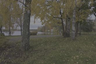 professionally color grade your video