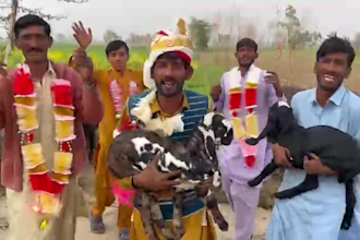 wish happy birthday africa video or indian spokesperson