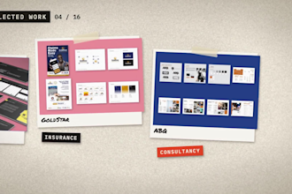 create professional brand guidelines and a brand style guide