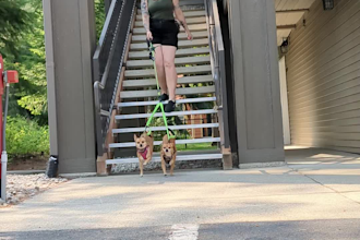 create an authentic ugc videos for your wellness brand