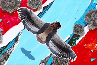 make a digital paper collage animation