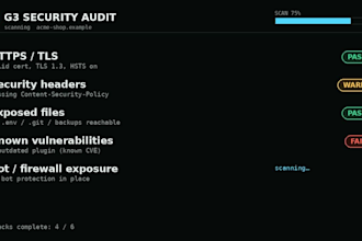 do a full website security audit with report