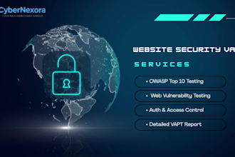 perform professional website vapt and owasp security testing