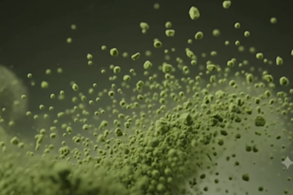 create a product animation video for ads and social media