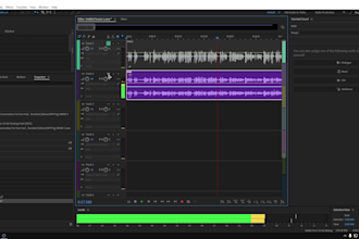 edit your raw podcast or voiceover like studio quality