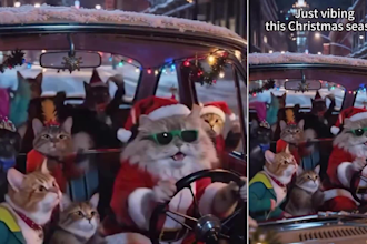 create ai christmas halloween video, seasonal commercials video social media ads