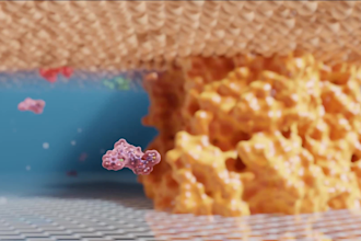 create 3d pharmaceutical moa and drug mechanism animation