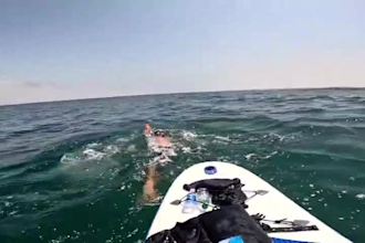 analyze your swimming technique and help you swim faster