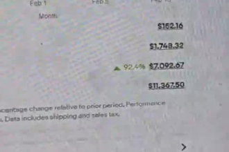 be your ebay dropshipping virtual assistant for a to z store management