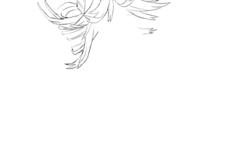 draw your oc and correct your art