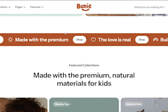 professional shopify store design