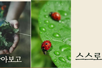 make a narrated promo video from your photos with text timed to the voice