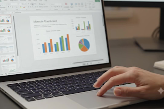 provide data entry services and manages data