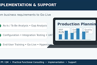 provide sap pp consulting, configuration and troubleshooting