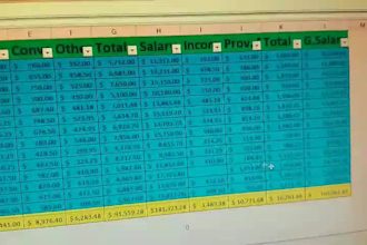 do accurate PDF to excel, data entry, result sheet,dashboard