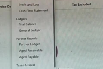 do your monthly bookkeeping, taxation, financial accounting in odoo and excel