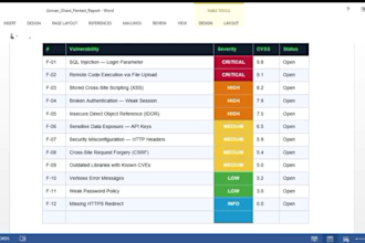 perform web app penetration testing and security audit
