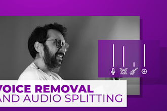 remove voice from video or music and isolate instruments