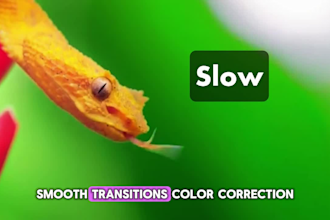 edit reels, shorts, tiktok videos with engaging subtitles