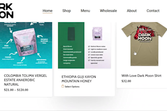 design wix website, redesign wix website, luxury website