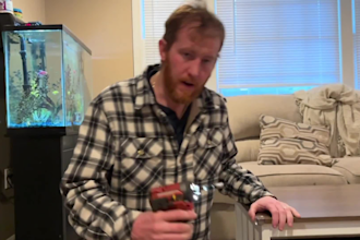 create couples ugc video ads for your brand