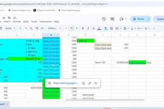 do public records and data entry expert