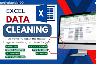do data entry,clean,organise and validate data for any project