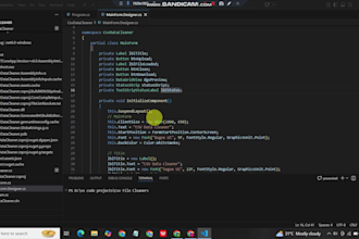 develop custom software,desktop and automation solutions