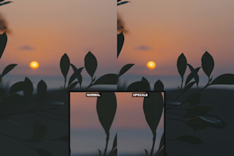 professional grade upscaling image video
