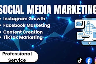 do professional social media marketing and management