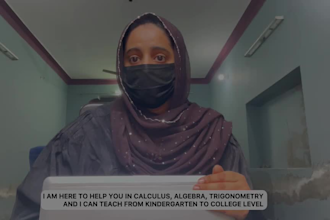 teach mathematics  calculus and statistics online